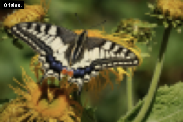 original image